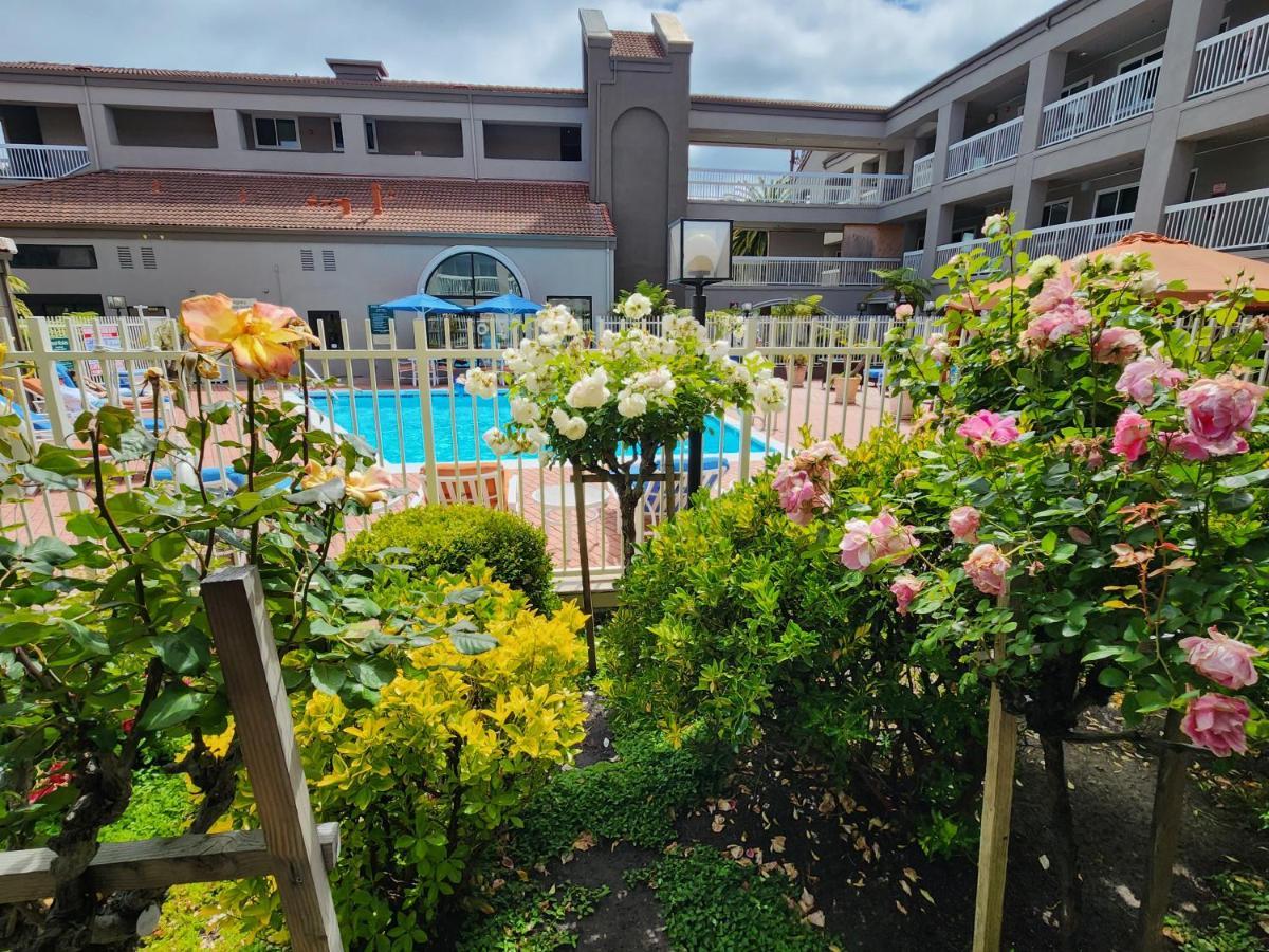 La Quinta By Wyndham San Francisco Airport West Hotel Millbrae Ngoại thất bức ảnh
