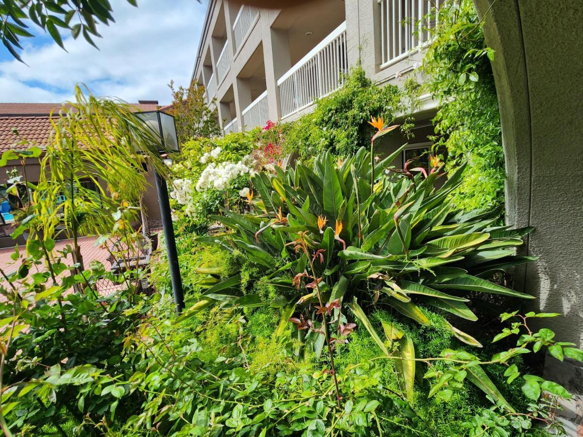 La Quinta By Wyndham San Francisco Airport West Hotel Millbrae Ngoại thất bức ảnh