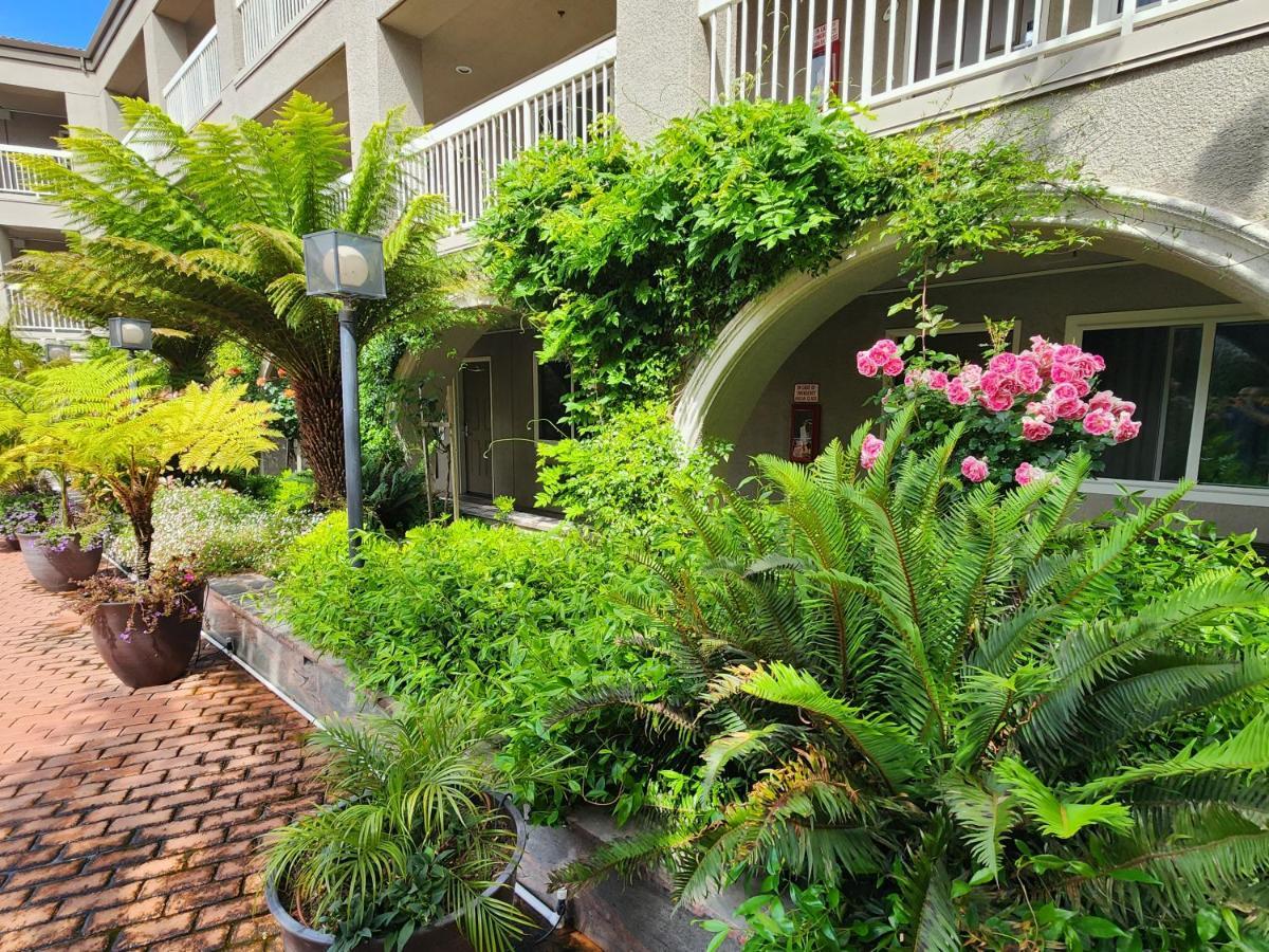 La Quinta By Wyndham San Francisco Airport West Hotel Millbrae Ngoại thất bức ảnh